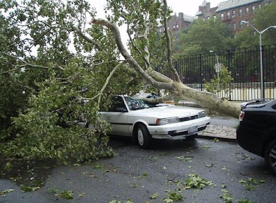 Tornado Hits New York Brooklyn, Affects MTA Transit