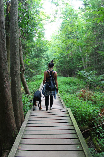 Outdoor fashion, what to wear hiking, plaid shirt, hm shirt, leather back pack, sporty chic, hiking in Ontario, fall layering