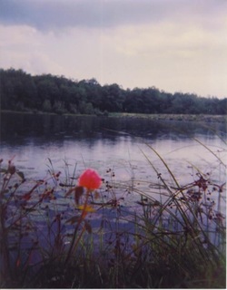 Holga 013