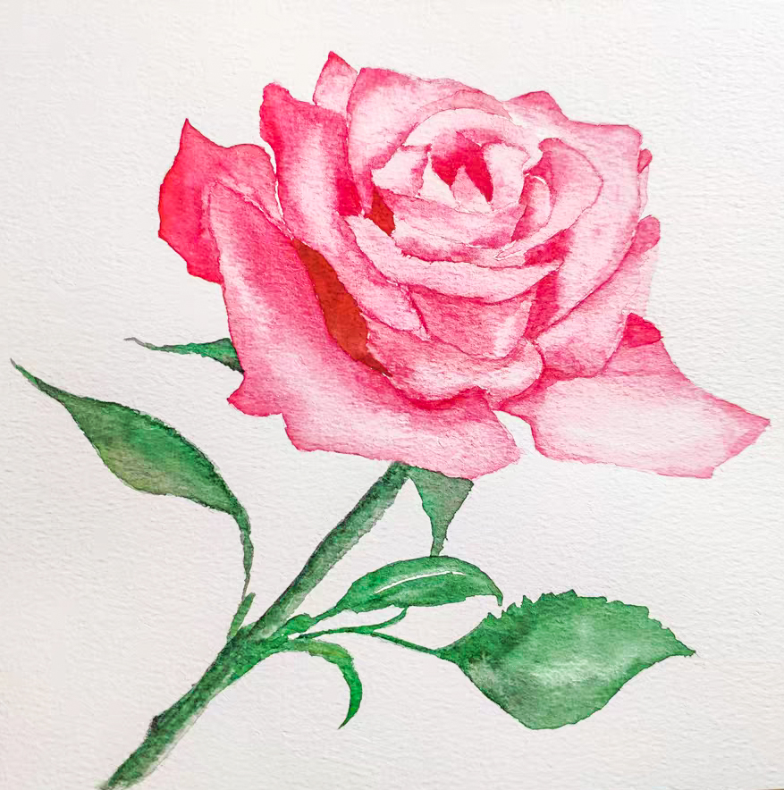 18Flowers Watercolor painting skill tips, come to see my tips-hinewme