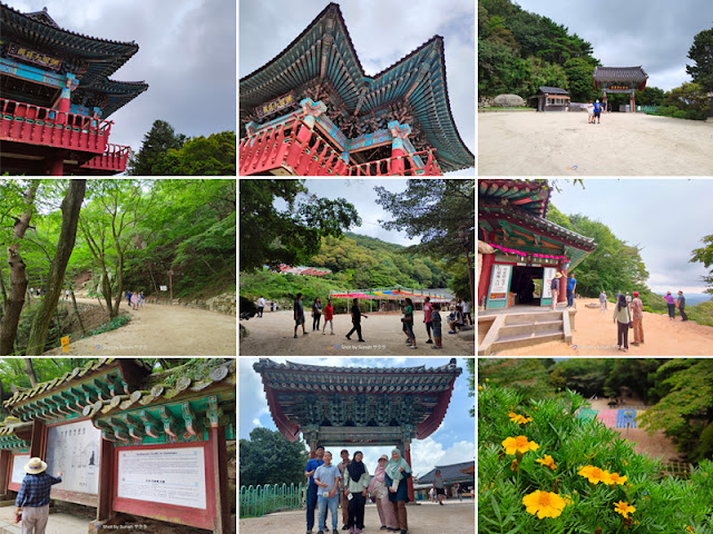 Road Trip Satu Hari ke Gyeongju, Korea