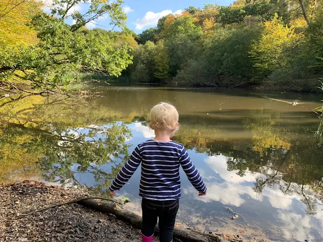 A toddler looking out into a pond in epping forest