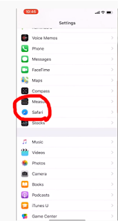 safari browser on setting iphone