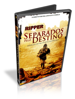Download Separados Pelo Destino Dublado DVDRip 2010 (AVI Dual Áudio+RMVB)