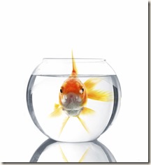 iStock_000002041548_Medium (1)