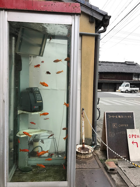 金魚電話亭, 金魚咖啡店, 金魚, 奈良