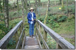 Wansfell Pike--bridge by Stockghyll Force waterfall