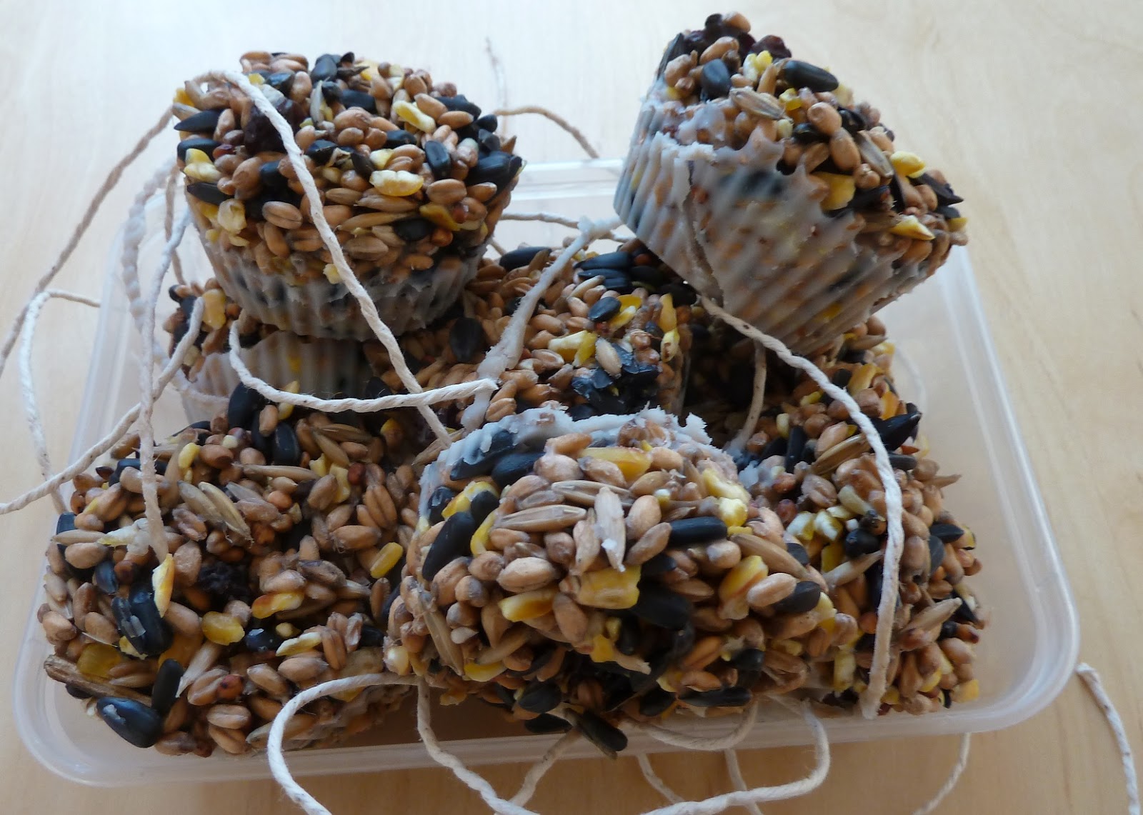 Guest Post - Homemade bird seed cakes - Emmy's Mummy
