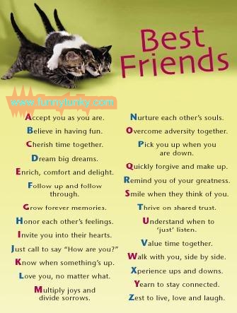 quotes about friendship. F.R.I.E.N.D.S what is it about?