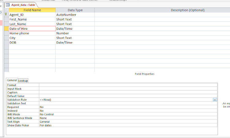 MS Access: How to Set Validation rules and Validation text?