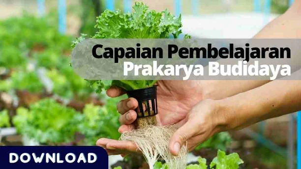 CP Prakarya Budidaya Revisi 2022 Fase A- Fase F Kurikulum Merdeka | Kurikulum Prakarya Budi daya berorientasi mengembangkan kompetensi merencanakan dan menghasilkan produk budi daya yang aman berdampak individu maupun sosial dengan mengembangkan keterampilan peserta didik melalui kepekaan terhadap  lingkungan,ide dan kreativitas untuk bertahan hidup mandiri dan ekonomis.