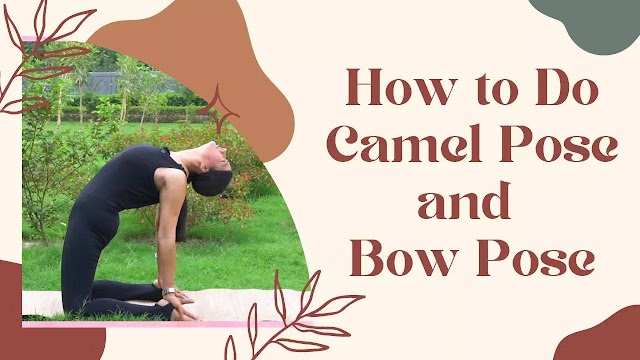 How To Do Camel and Bow Pose To Get Its Health Benefits?