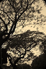 DSC01593