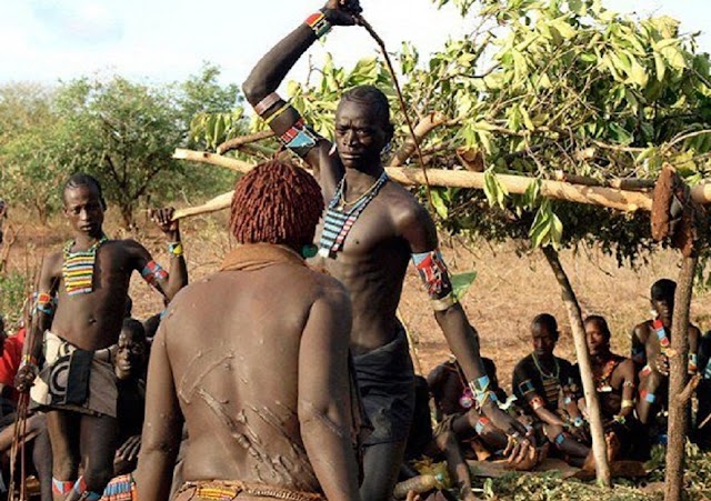 A tradition of the Hamar tribe of Ethiopia that involves the beating of women