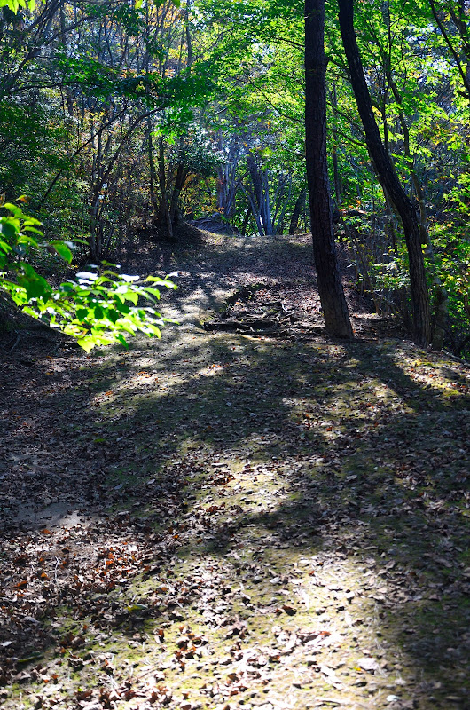 DSC_8223.jpeg