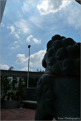 P1120477