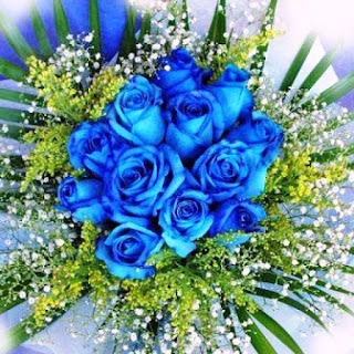 Gambar Bunga Mawar Biru Paling Cantik_Blue Roses Flower 200013