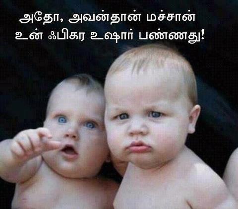 Funny Photos Images on Photos In Tamil Font Stills   Cute Baby With Tamil Font   Funny Images