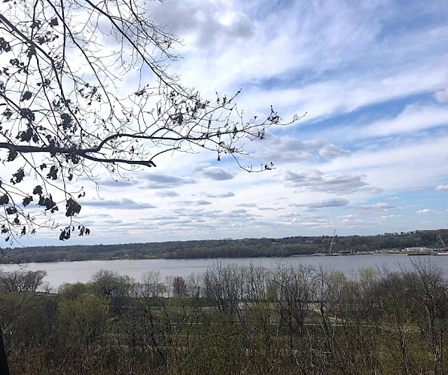 The Mississippi River peeking through the trees at Illiniwek Forest Preserve. Stunning!