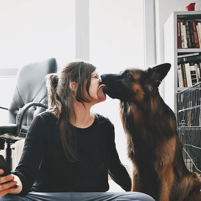 Humans Kiss Their Dogs More Often Than Their Partners According To Survey