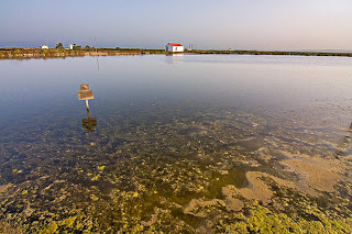 salinas de Santa Pola