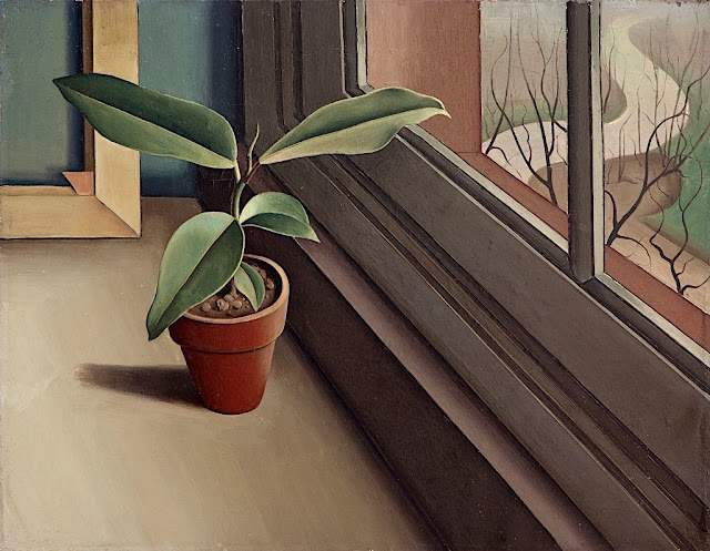 Franz Xaver Fuhr (1898 -1973) Stillleben (Gummibaum), 1925 Kunstmuseum, Manheim