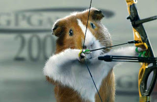 Funny Guinea Pig