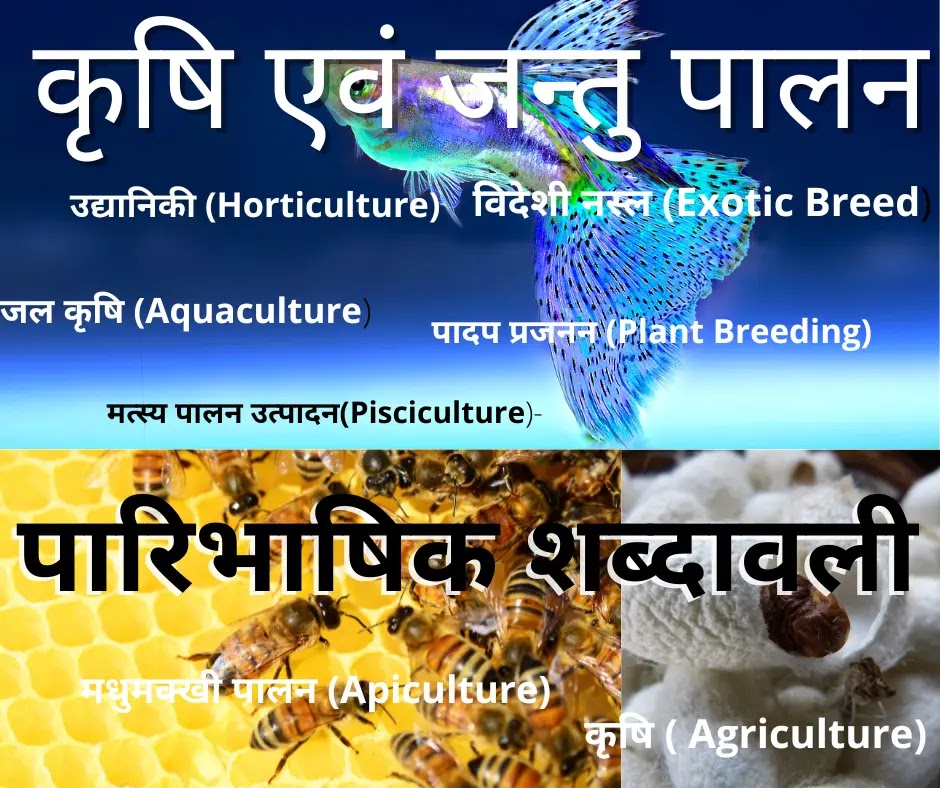 Agriculture and Animal Husbandry-Terminology)