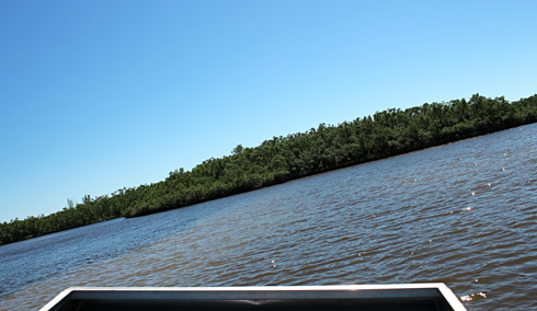 Airboats Florida Everglades Airboating