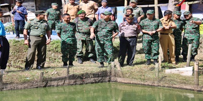 Inovasi TNI Menunjang Pendapatan Petani Lele