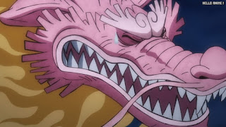 ワンピースアニメ 1048話 モモの助 Momonosuke CV.下野紘 | ONE PIECE Episode 1048