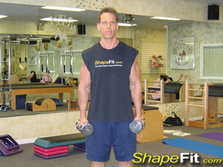 Dumbbell Bicep Exercises Dumbbell Bicep Exercises