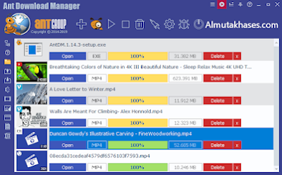 Ant Download Manager Pro