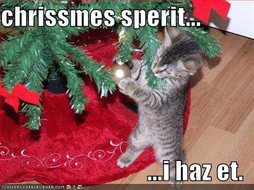 Funny Christmas Pictures