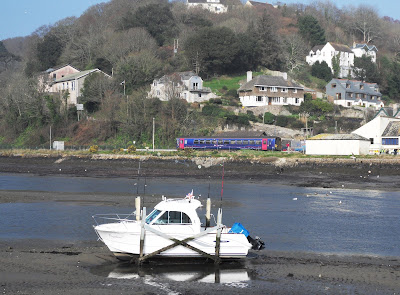 Looe Valley Cornwall train