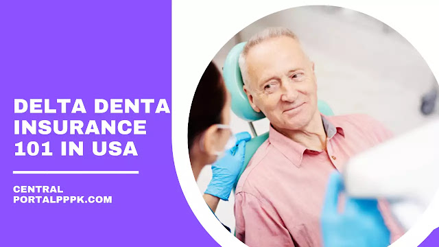 Delta Dental Insurance 101 in USA