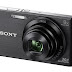 Sony DSC W830 Cyber-Shot 20.1 MP Point and Shoot Camera (Black) with 8X Optical Zoom