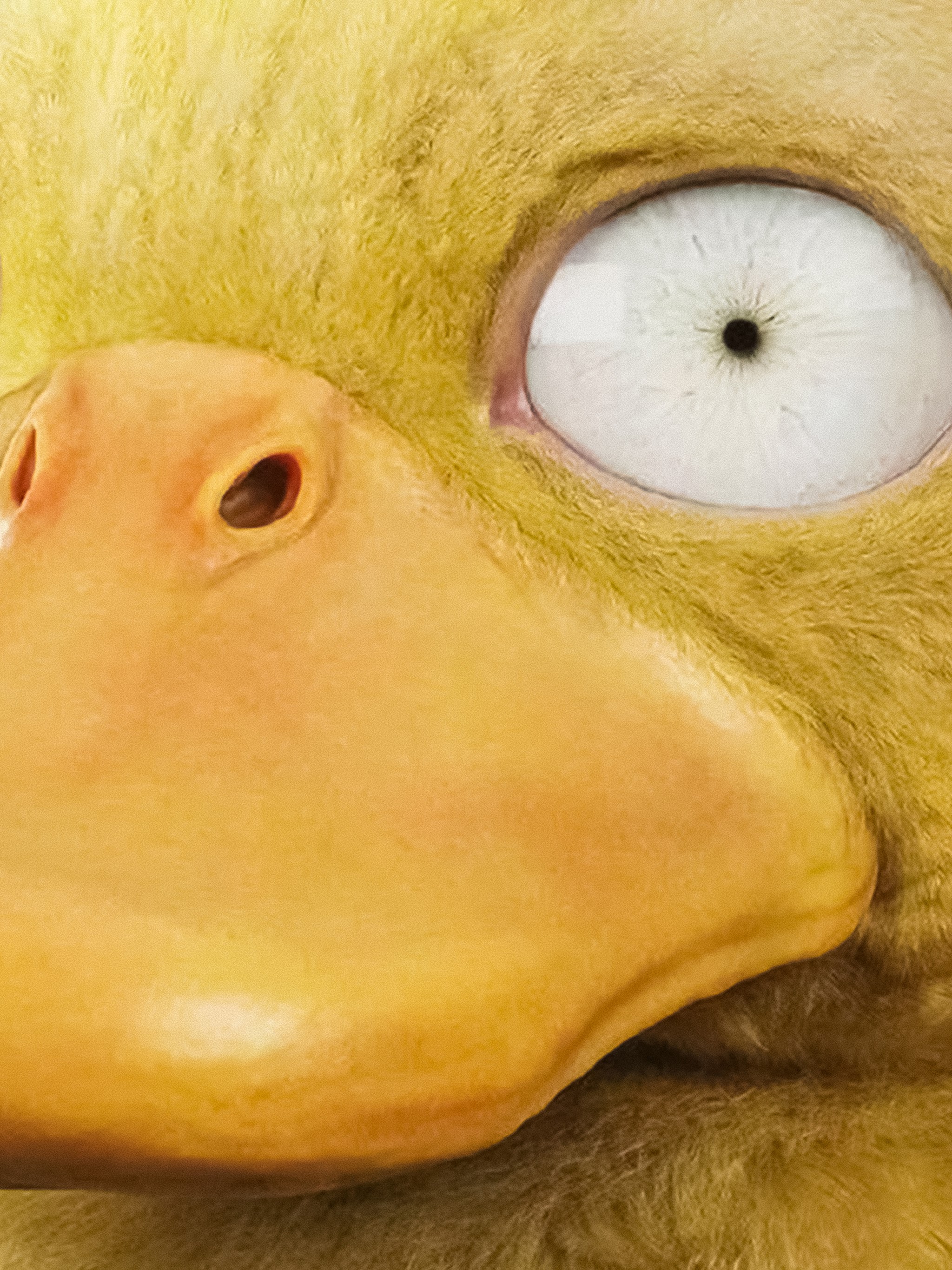Detective Pikachu Psyduck 8k Wallpaper 65