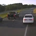 Vídeo: Motorista tenta parar rodovia para salvar tartaruga e causa acidente; veja