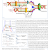 End Replication Problem