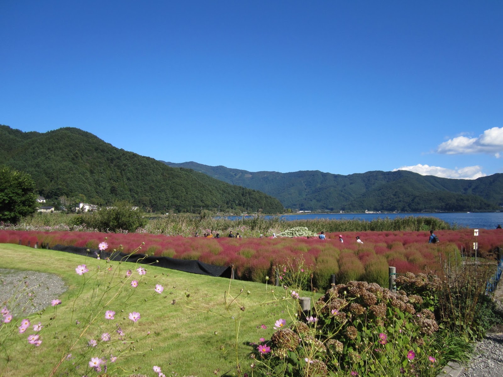 Kawaguchiko Minori An 少し前の景色