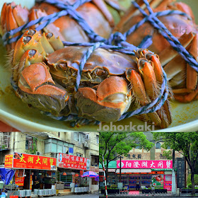 Shanghai-Hairy-Crabs-大閘蟹