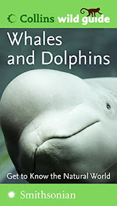 Whales and Dolphins (Collins Wild Guide)