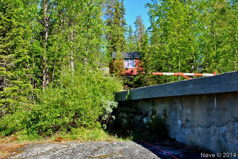 DSC_2361