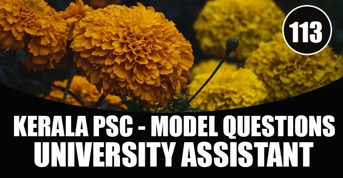 Kerala PSC Model Questions for University Assistant Exam - 113
