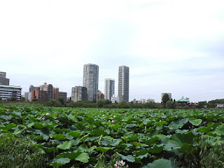 不忍池　写真