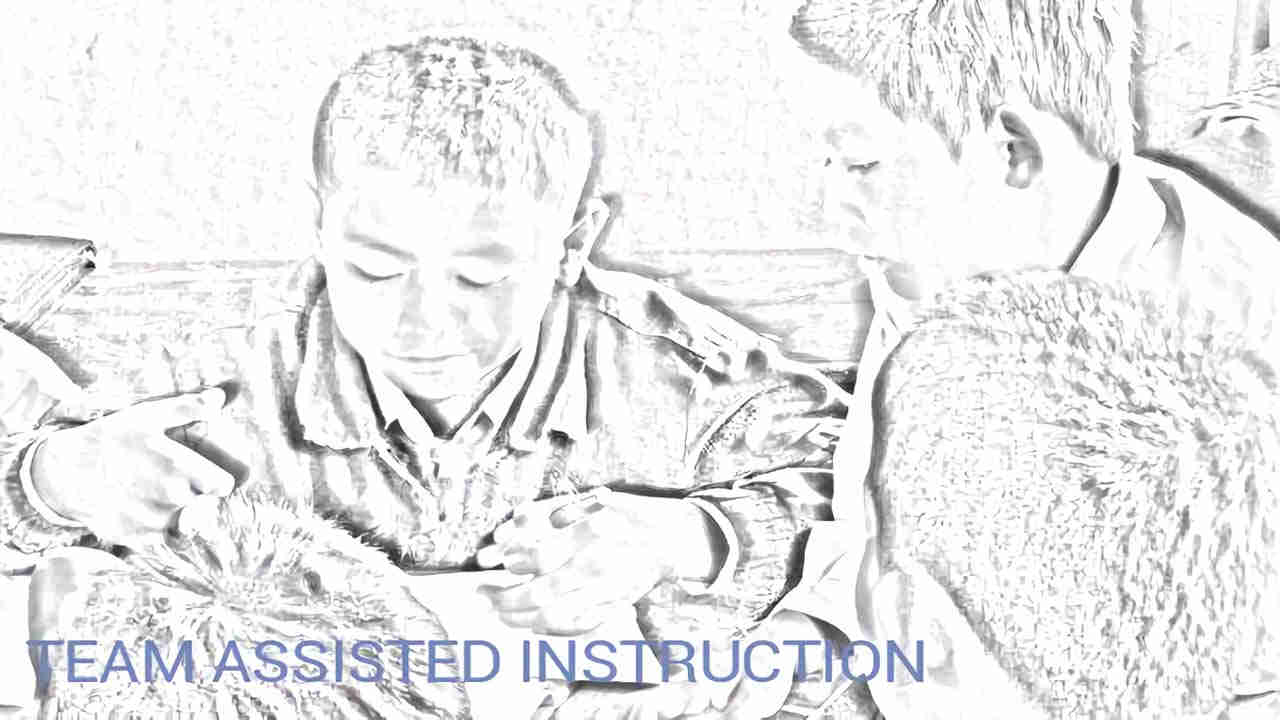 team assisted instruction (TAI)