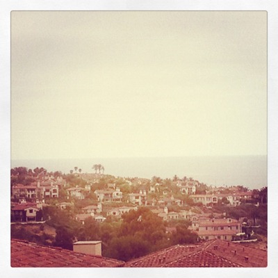 view