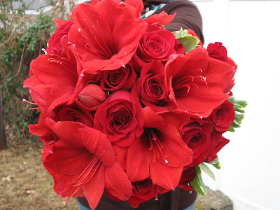 This bridal bouquet is all bright red roses and amaryllis