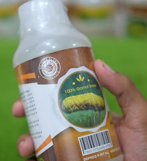 Pengobatan Herbal Thalasemia Tanpa Transfusi Darah